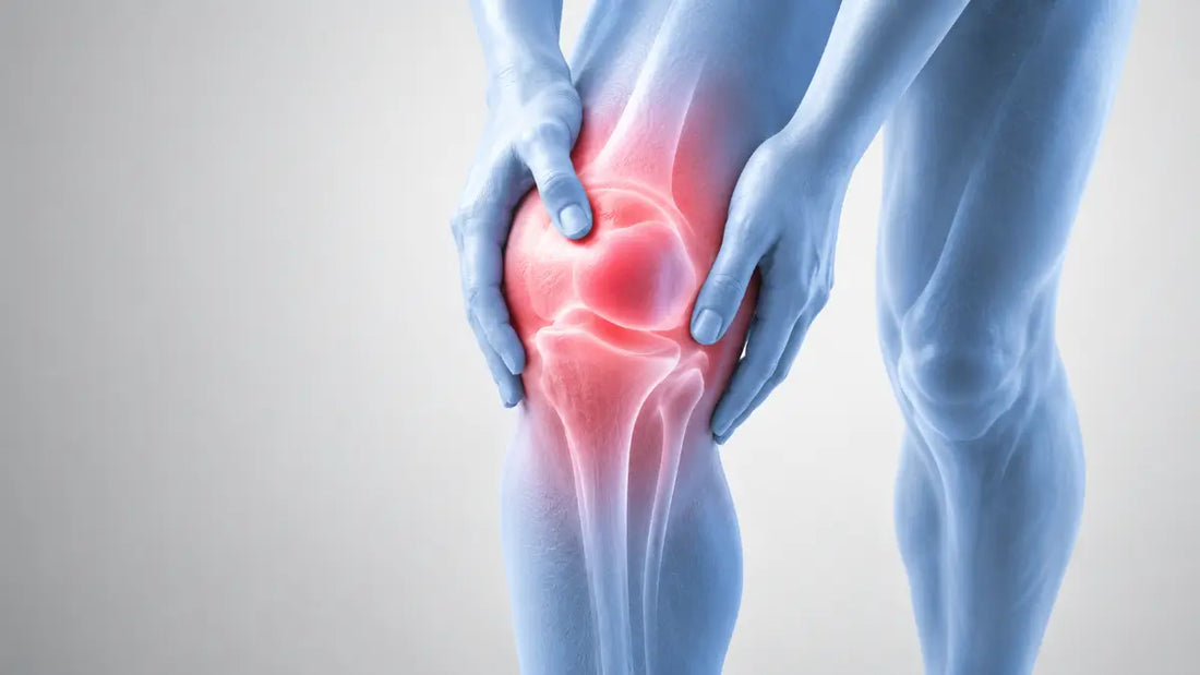 Anatomical illustration of knee swelling and inflammation, with hands holding a painful knee highlighted in red.